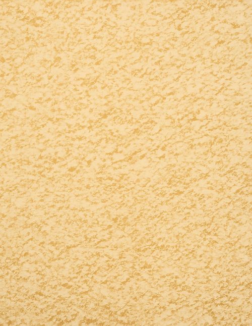 Garlic Powder Organic - Dion Herbs and Spices