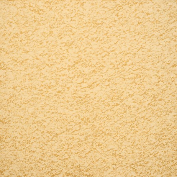 Garlic Powder Organic - Dion Herbs and Spices