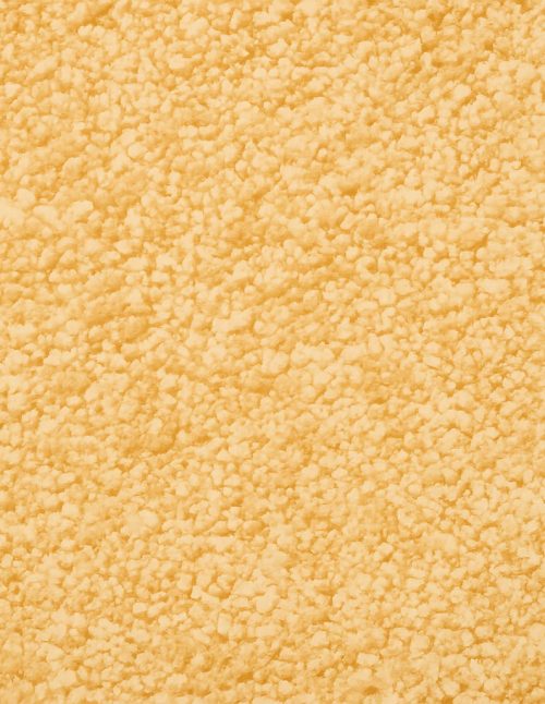 Garlic Granulated Organic - Dion Herbs and Spices