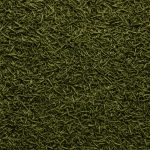 Dill Weed - Dion Herbs and Spices