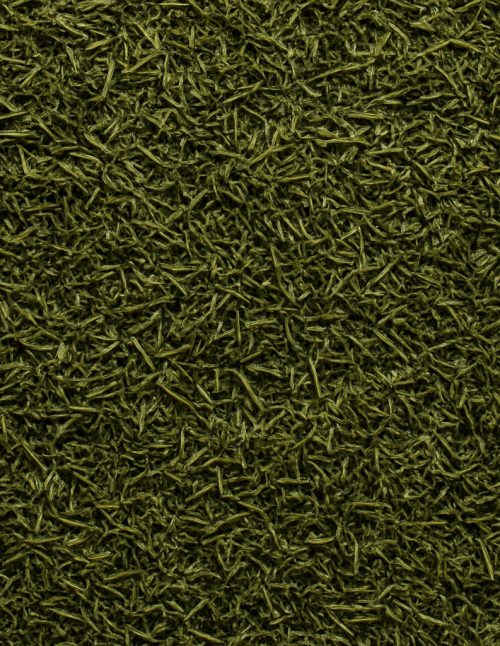 Dill Weed - Dion Herbs and Spices