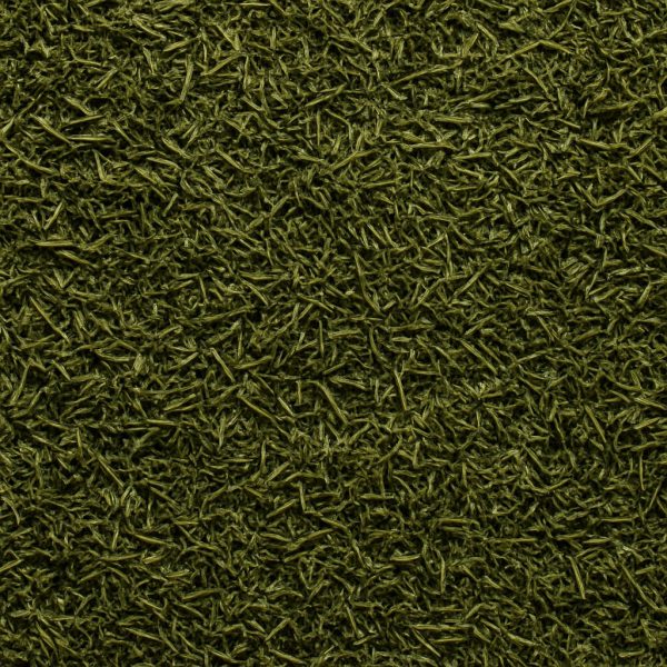 Dill Weed - Dion Herbs and Spices