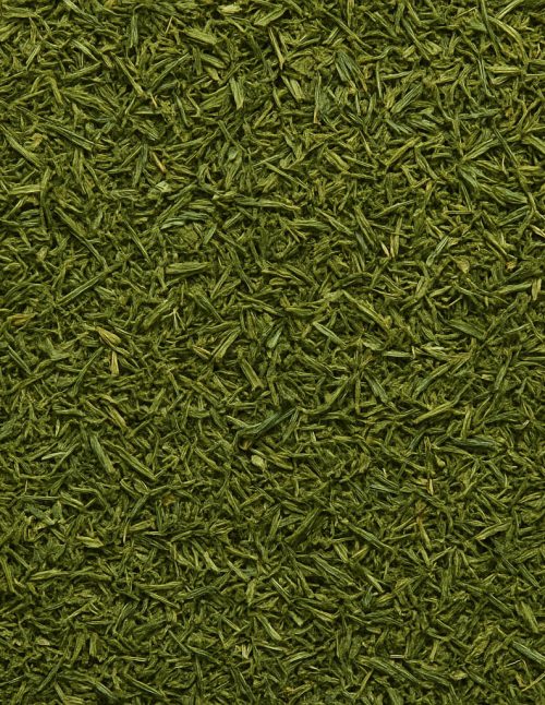 Dill Weed Organic - Dion Herbs and Spices