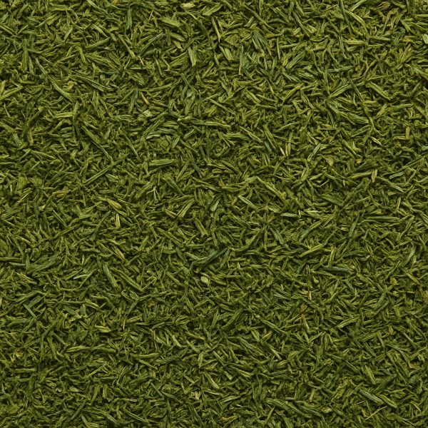 Dill Weed Organic - Dion Herbs and Spices