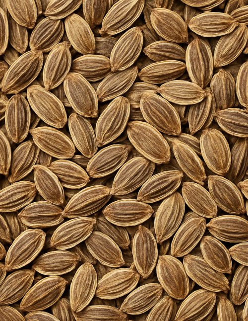 Dill Seed - Dion Herbs and Spices