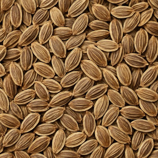 Dill Seed - Dion Herbs and Spices