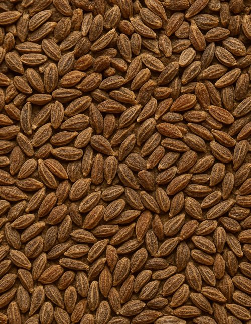 Anise Seed - Dion Herbs and Spices