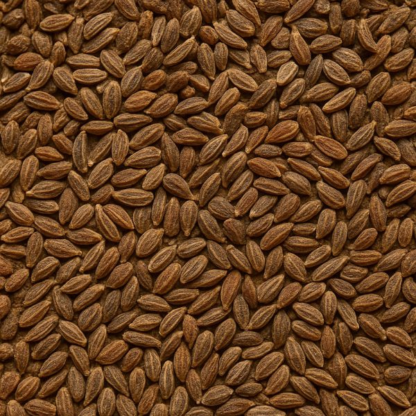 Anise Seed - Dion Herbs and Spices