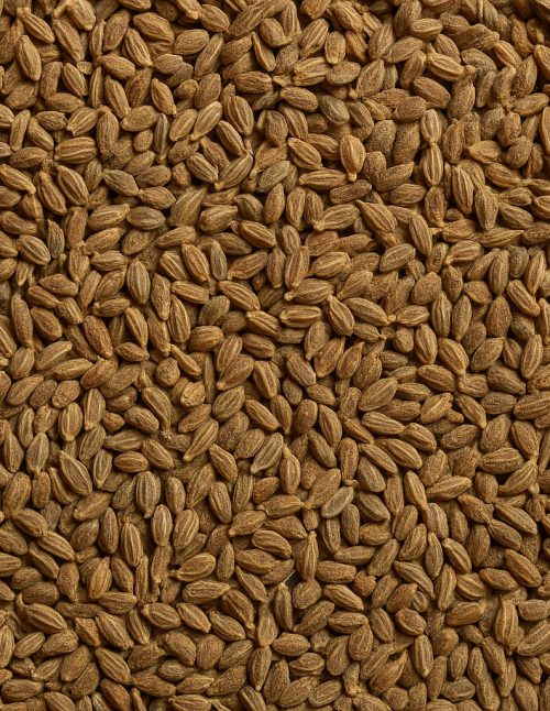 Anise Seed Organic - Dion Herbs and Spices