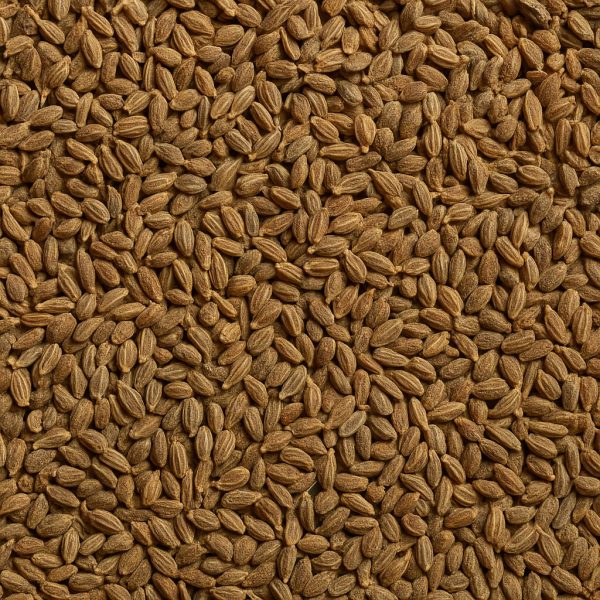 Anise Seed Organic - Dion Herbs and Spices