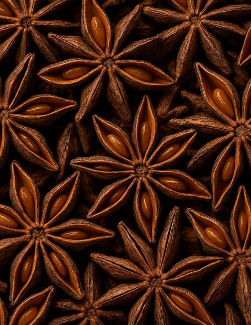 Star Anise Organic - Dion Herbs and Spices