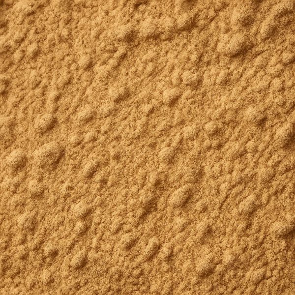 Asafoetida Ground - Dion Herbs and Spices