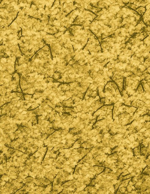 Lemon & Dill Seasoning - Dion Herbs and Spices