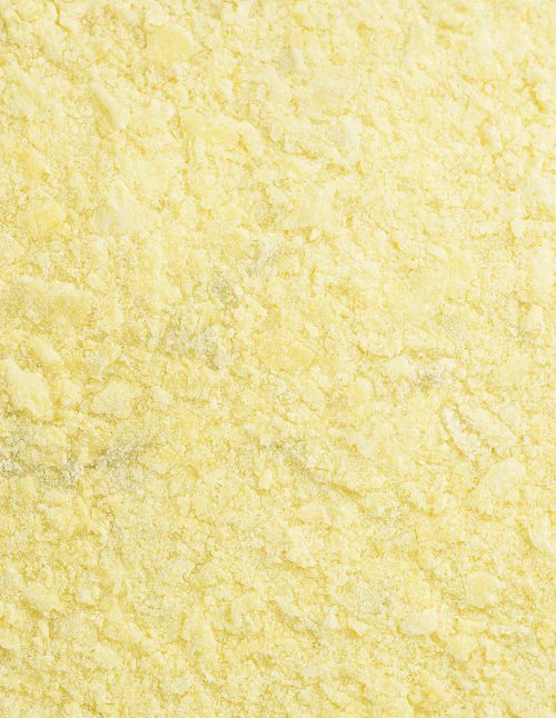 Garlic Seasoning - Dion Herbs and Spices