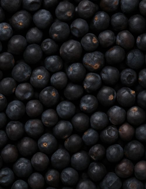 Juniper Berries - Dion Herbs and Spices