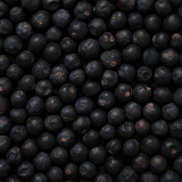 Juniper Berries - Dion Herbs and Spices