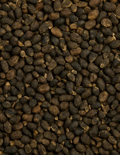 Cardamom Seeds - Dion Herbs and Spices