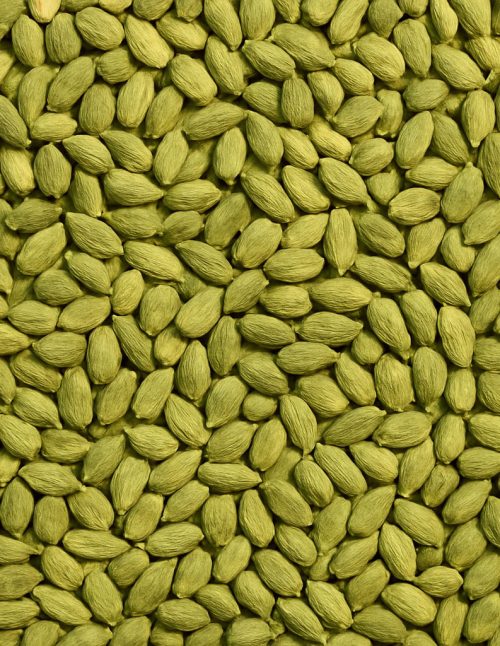 Cardamom Green - Dion Herbs and Spices