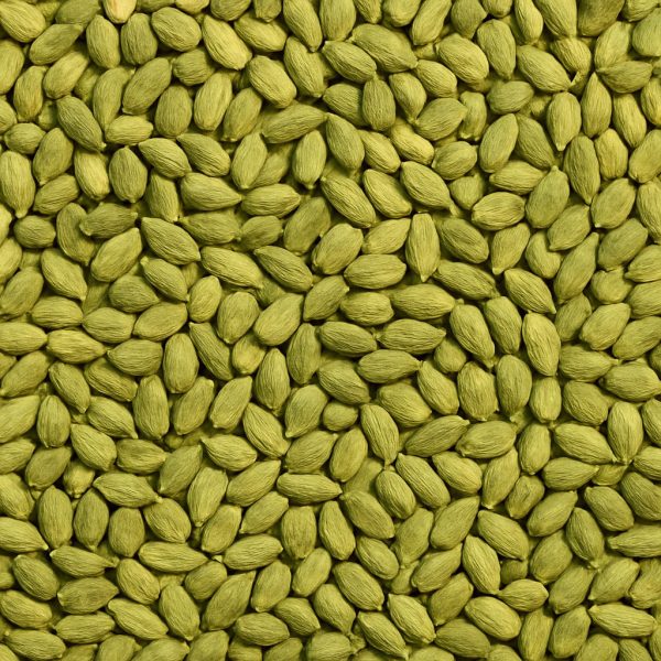 Cardamom Green - Dion Herbs and Spices