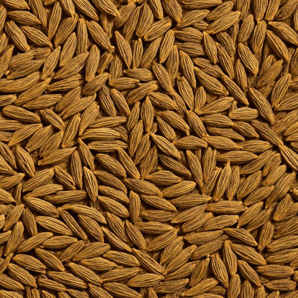 Caraway Seed - Dion Herbs and Spices