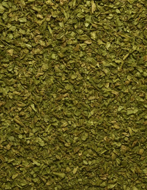 Chervil - Dion Herbs and Spices