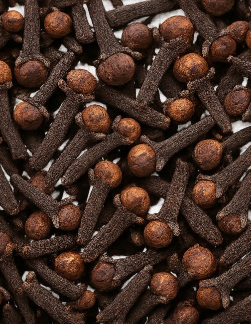 Cloves Whole Organic - Dion Herbs and Spices