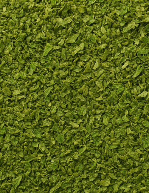 Coriander Leaves - Dion Herbs and Spices