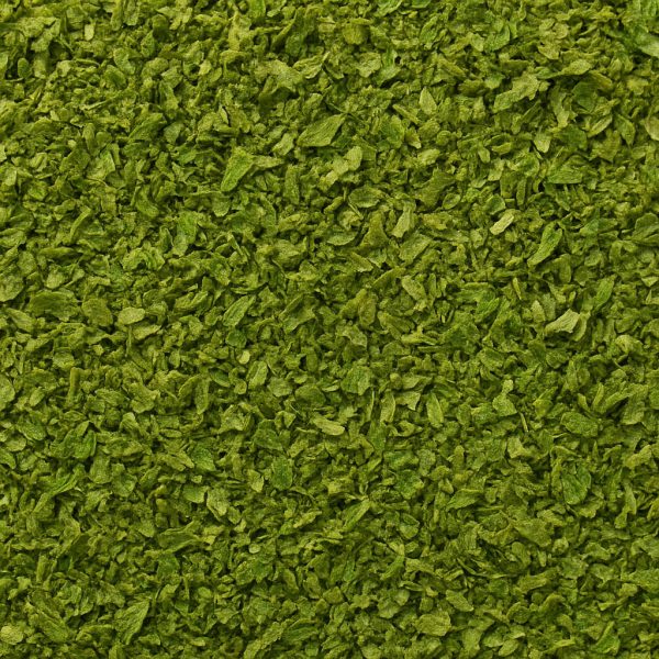 Coriander Leaves - Dion Herbs and Spices