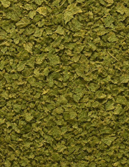 Coriander Leaves Organic - Dion Herbs and Spices