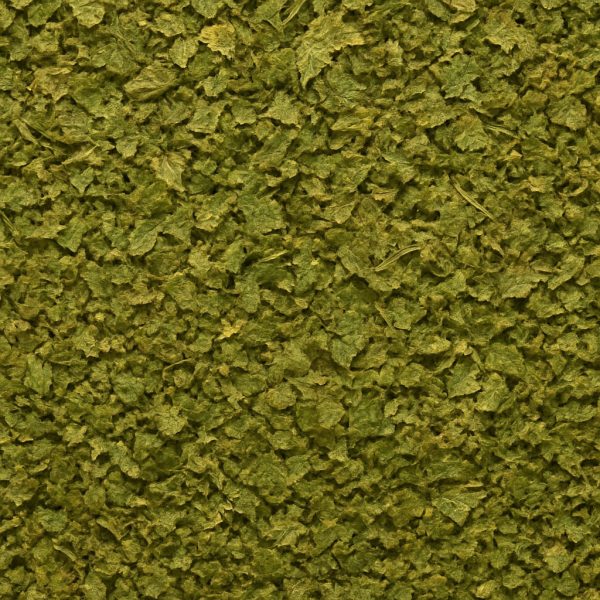 Coriander Leaves Organic - Dion Herbs and Spices