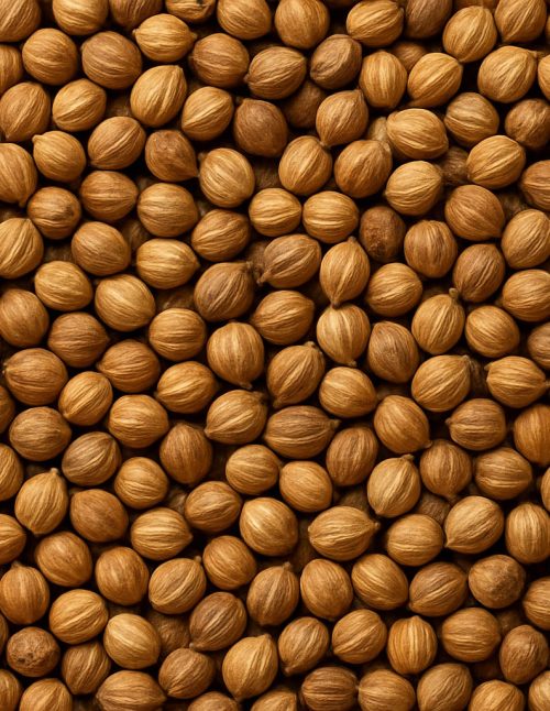 Coriander Whole - Dion Herbs and Spices