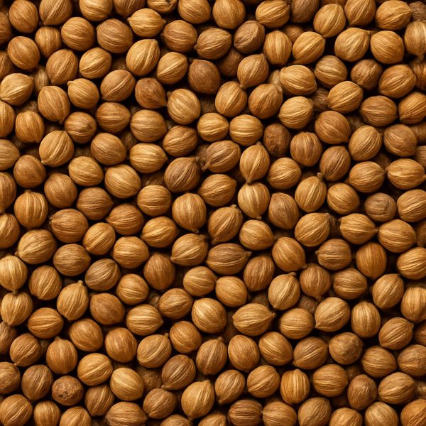 Coriander Whole - Dion Herbs and Spices