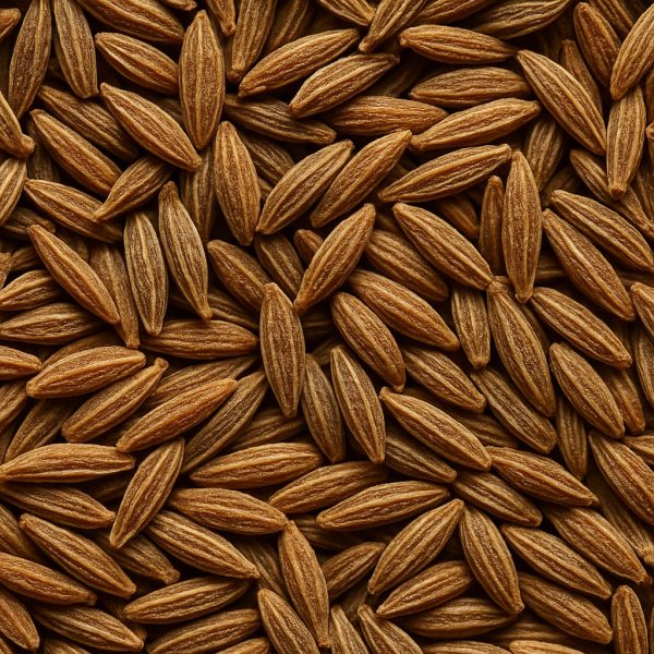 Cumin Seed - Dion Herbs and Spices