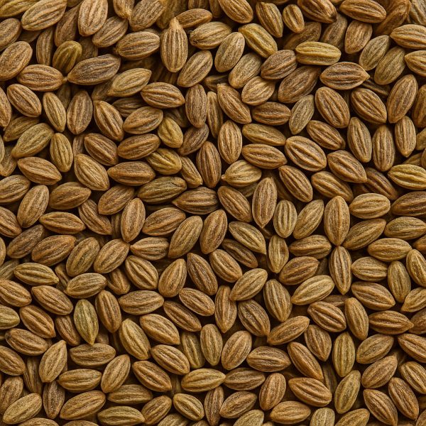 Celery Seed - Dion Herbs and Spices