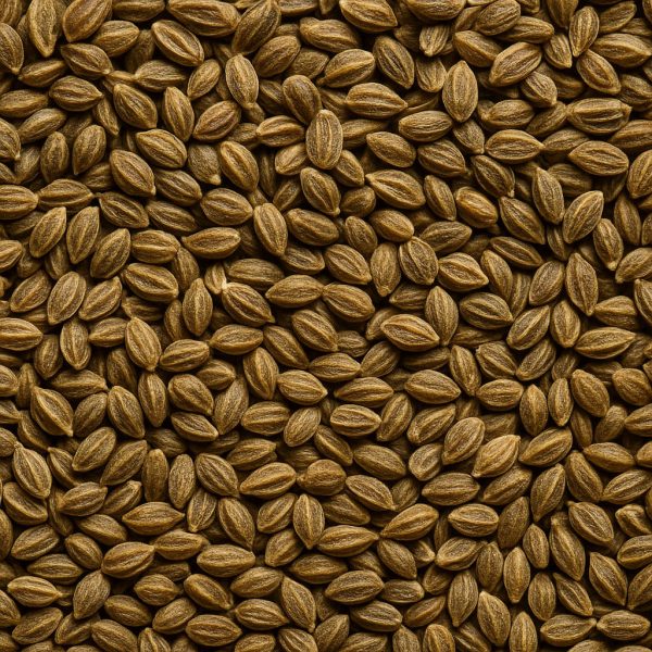 Celery Seed Organic - Dion Herbs and Spices