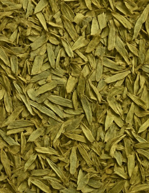 Tarragon Organic - Dion Herbs and Spices