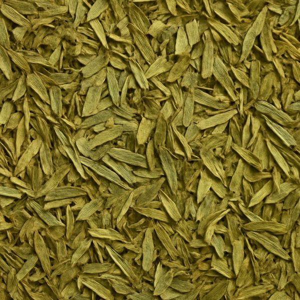 Tarragon Organic - Dion Herbs and Spices