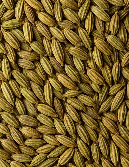 Fennel Seed - Dion Herbs and Spices
