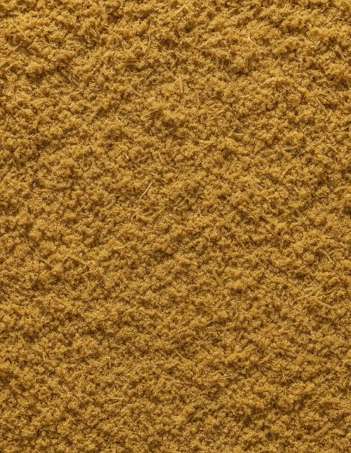 Fennel Ground Organic - Dion Herbs and Spices