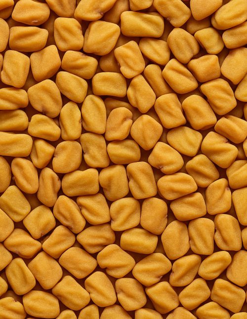 Fenugreek Whole Organic - Dion Herbs and Spices