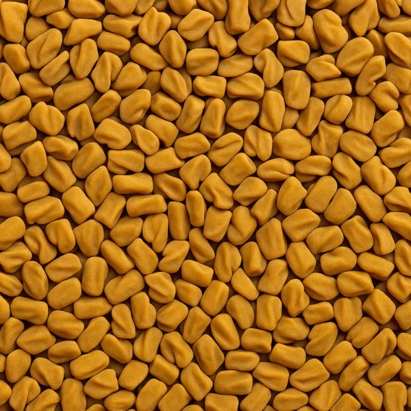 Fenugreek Whole Organic - Dion Herbs and Spices