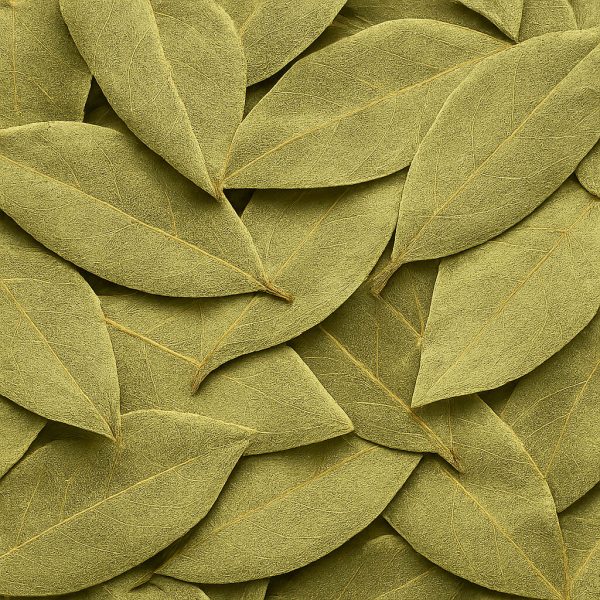 Bay Leaves - Dion Herbs and Spices
