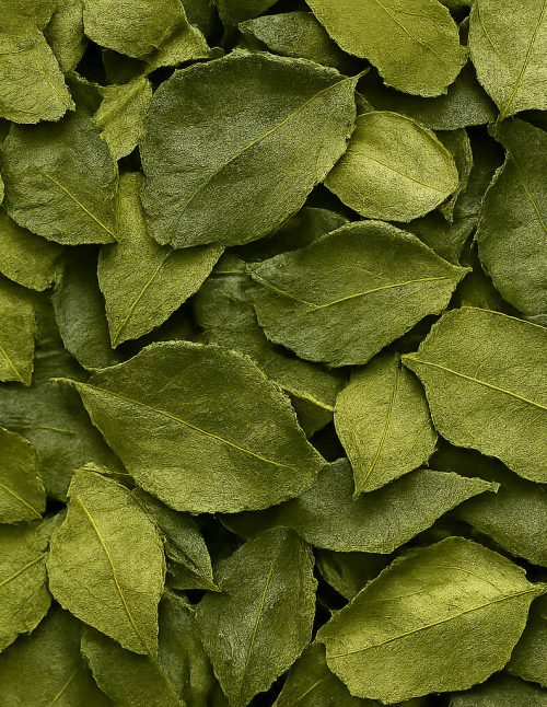 Kaffir Lime Leaves - Dion Herbs and Spices