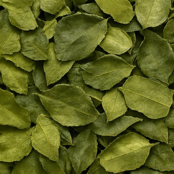Kaffir Lime Leaves - Dion Herbs and Spices