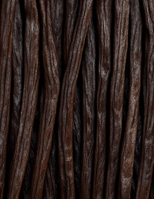 Vanilla Beans - Dion Herbs and Spices