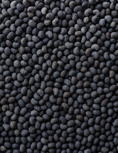 Poppy Seeds - Dion Herbs and Spices