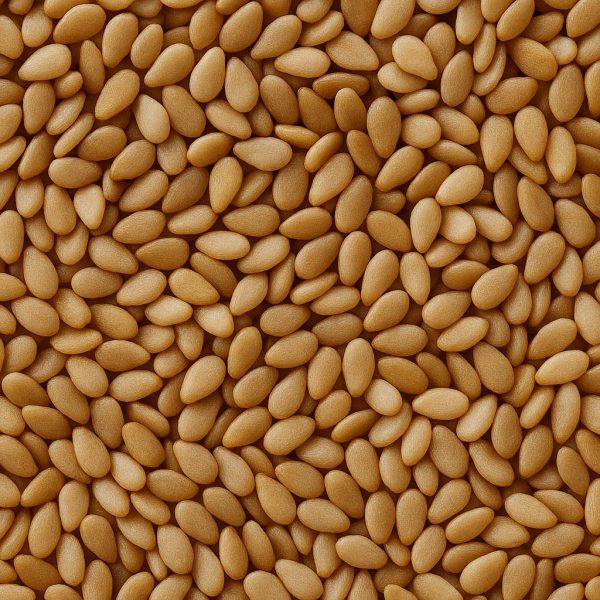 Sesame Seed - Dion Herbs and Spices