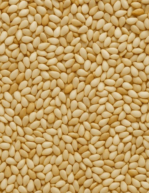 Sesame Seed Organic - Dion Herbs and Spices