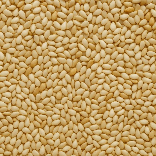 Sesame Seed Organic - Dion Herbs and Spices