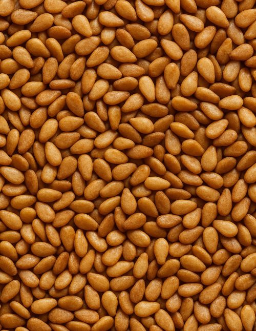 Sesame Seed Toasted - Dion Herbs and Spices